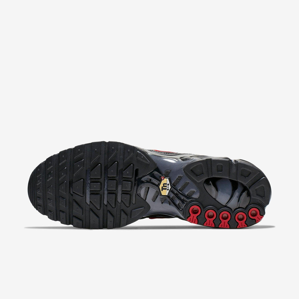 Nike Air Max Plus Gradient Red